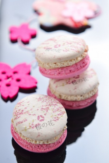 ต้อนรับเทศกาลชมดอกซากุระโรงแรม ดิ โอกุระ เพรสทีจ