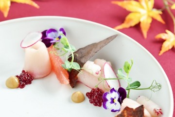 Elements celebrates Japan’s spectacular Kōyō season