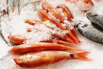 “Catch of the Day” โปรฯใหม่ ณ ห้องอาหารเอสเพรสโซ่ 