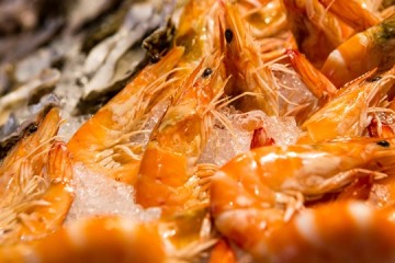 พาเหรดบุฟเฟ่ต์กุ้ง ที่โนโวเทล สยาม