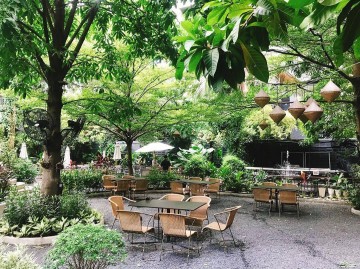 巡迴曼谷咖啡店💚(二)在森林和原野