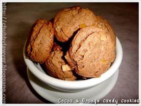 คุ้กกี้ชอคโกแลตกับผิวส้ม (Cocoa and orange candy cookies)