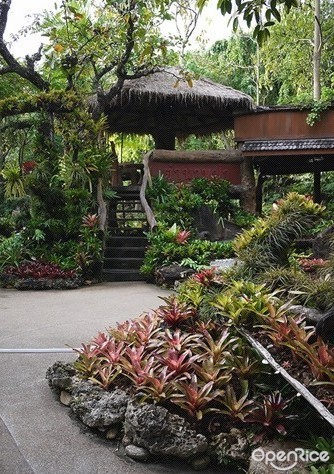 ตำนานป่า