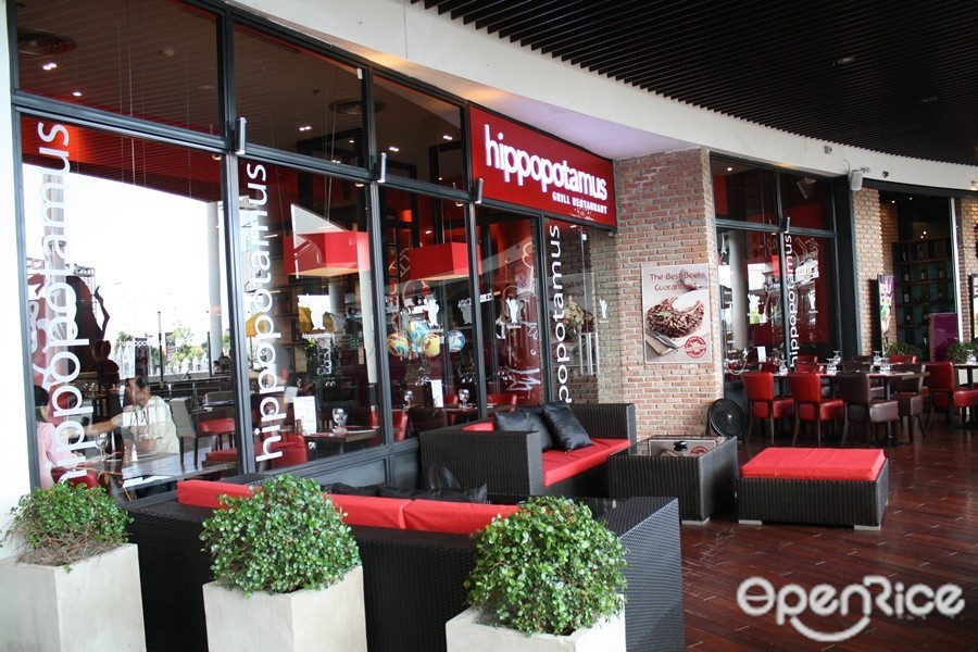 Hippopotamus (ฮิปโปโปเตมัส)