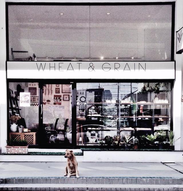 Wheat & Grain - Bakery Shop in Bang Kapi Bangkok | OpenRice Thailand