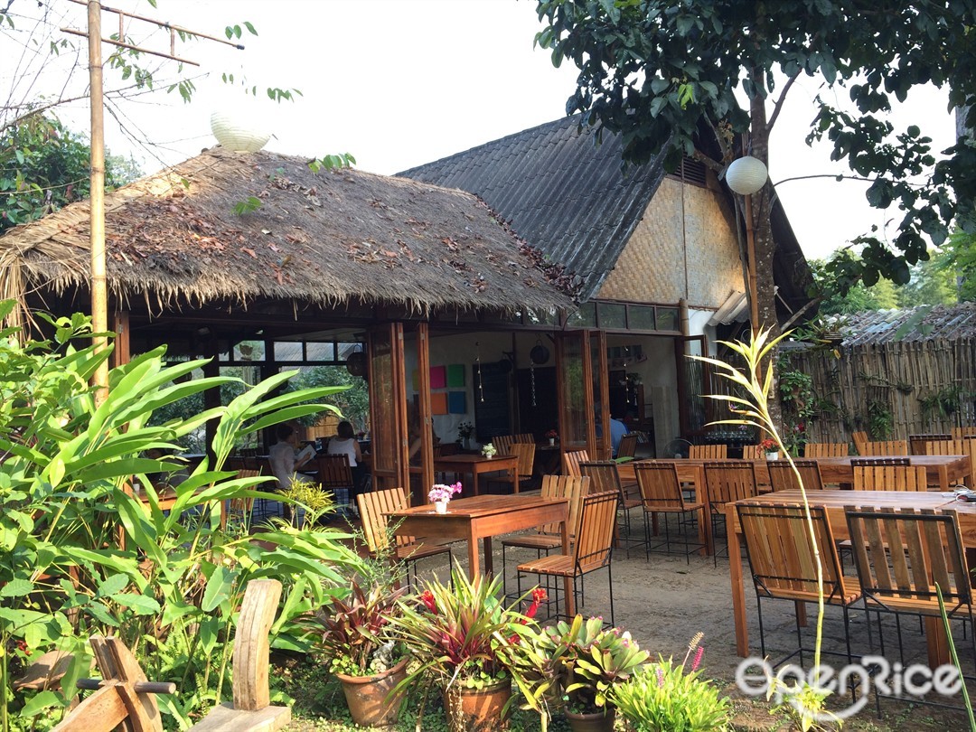 เชียงดาวเนส