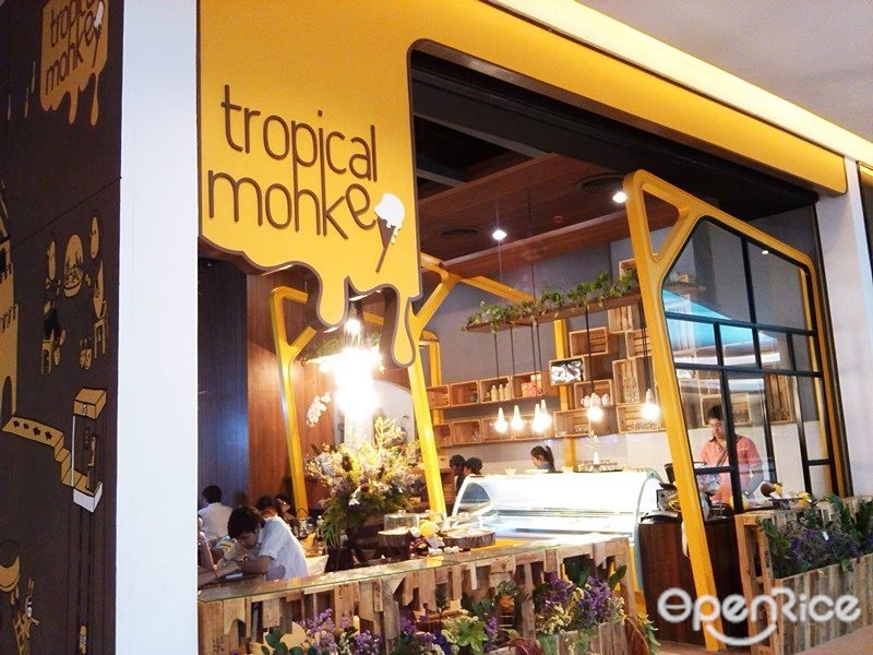 Tropical Monkey