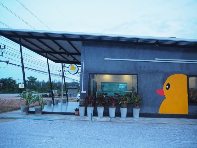 What The Duck Cafe-door-photo