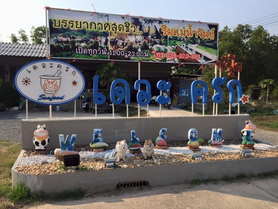 เดอะครกซีฟู้ด