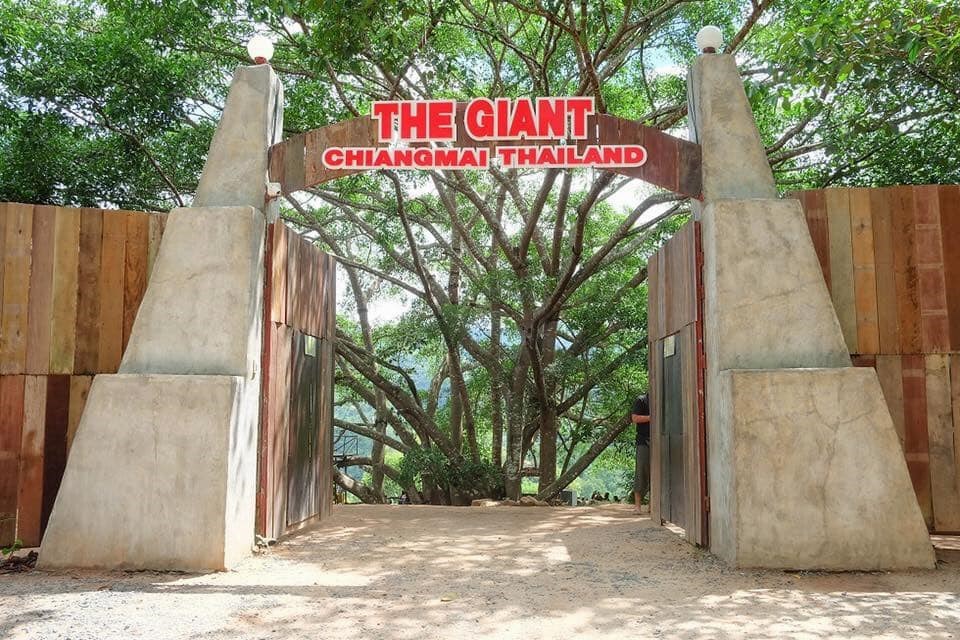 เดอะ ไจแอนท์