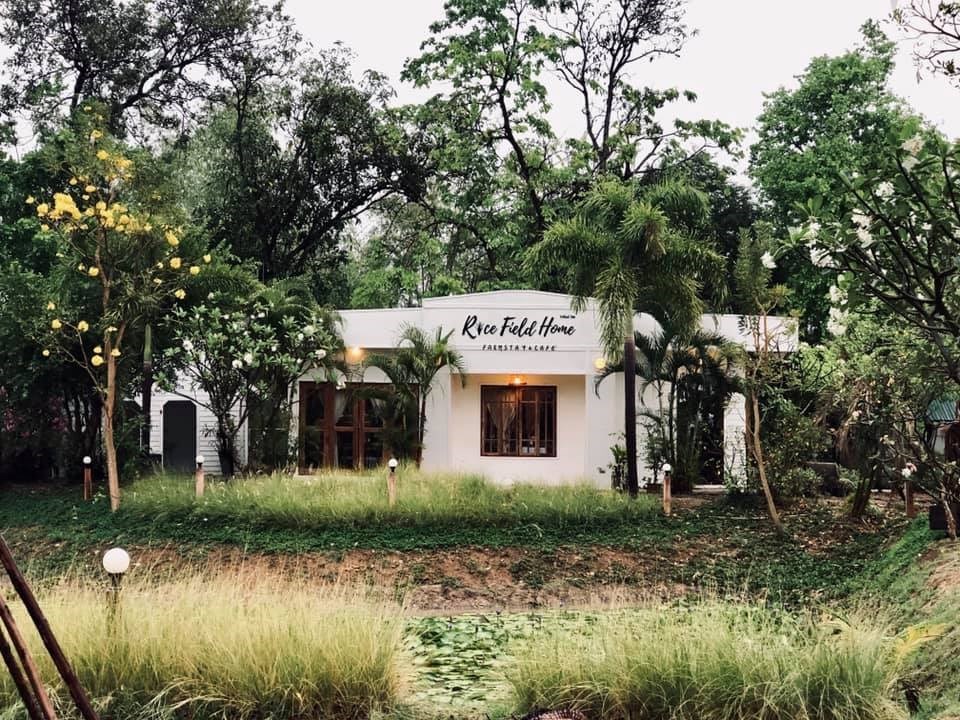 Rice Field Home