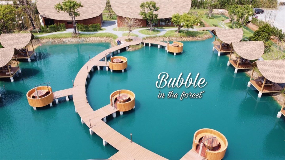 Bubble in the forest