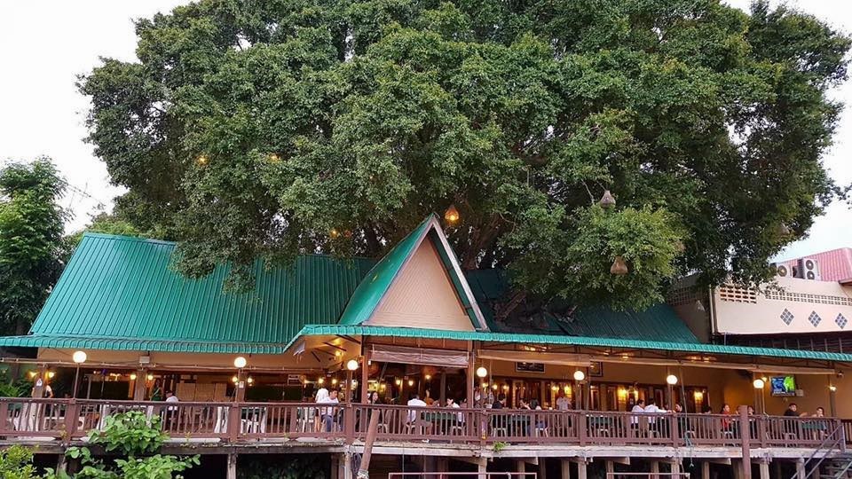 สวนอาหารไทรทองริเวอร์