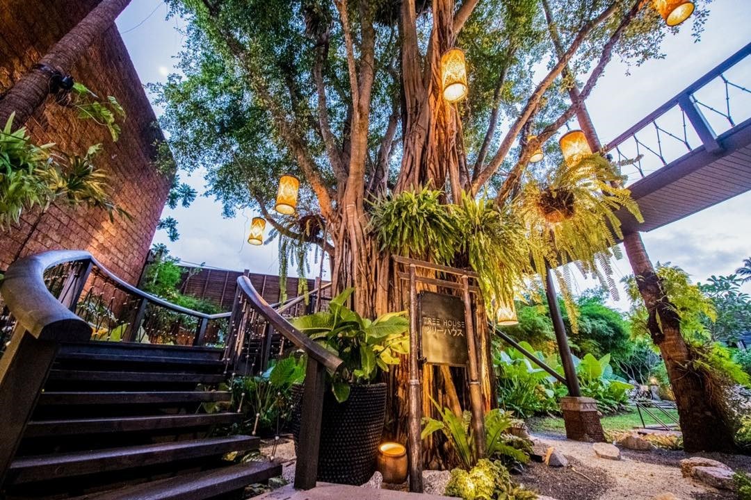Tree House (ทรี เฮ้าส์)