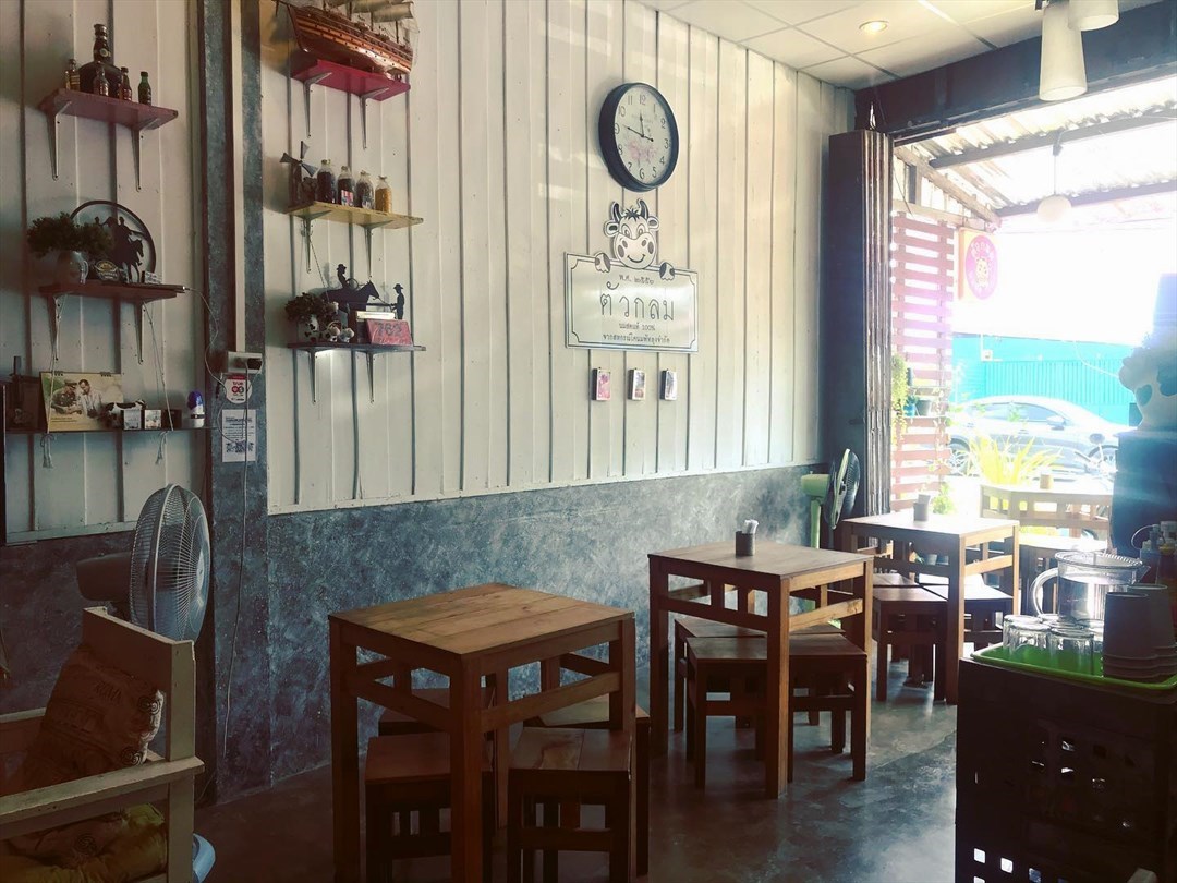 ตัวกลมนมสด