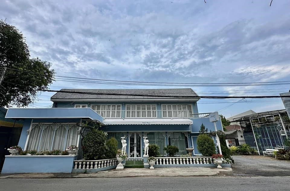 มาลี มายา