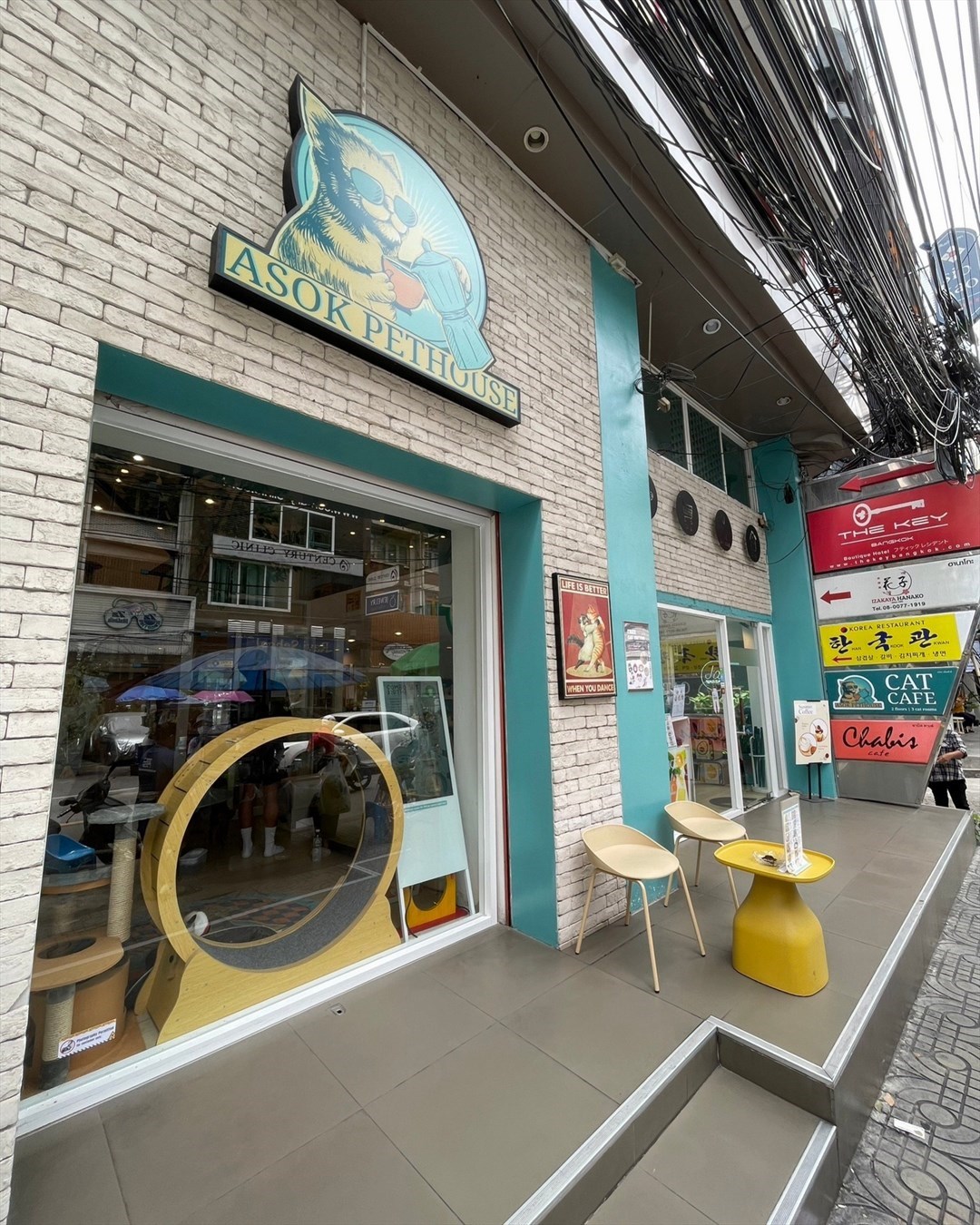 Asok Pethouse Cat Cafe