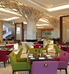 Terrace Bar