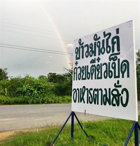 ก๋วยเตี๋ยวเป็ด 