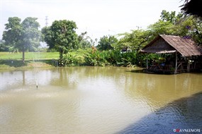 ก๋วยเตี๋ยวเรือกลางน้ำ