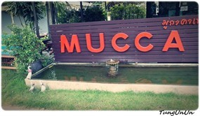 Mucca 