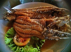 สวนสวย ริมฝาย