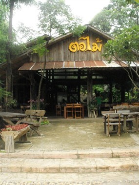 ตอไม้