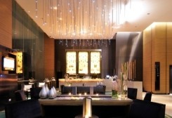 Zin Bar