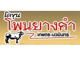 โคขุนโพนยางคำ