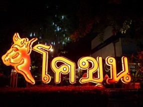 โคขุนคุณทองโพนยางคำ