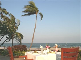 Palm Terrace