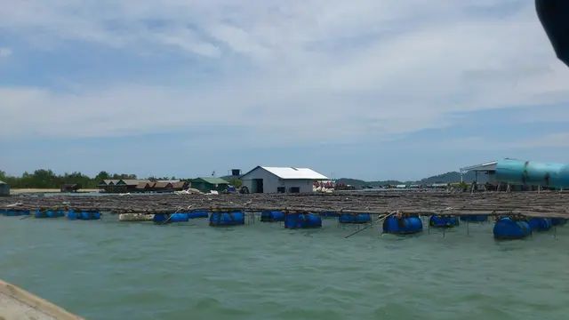 ร้านอาหารอยู่กลางทะเล