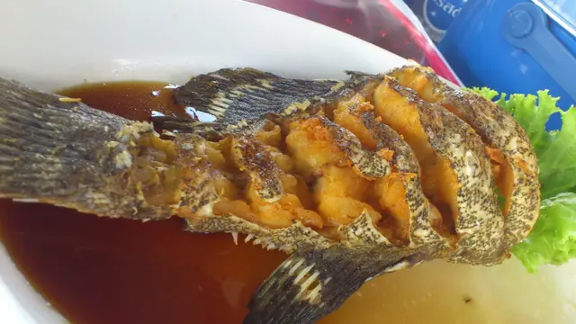 ปลาเก๋าทอดราดน้ำปลา