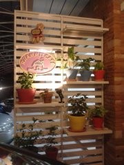 รวมมิตรคาเฟ่