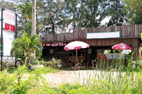 บ้านต้นสน