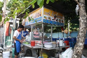 ต้นจันทร์