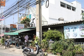 ราดหน้ายอดผักสายไหม