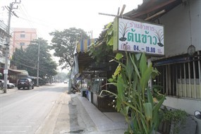 ต้นข้าว