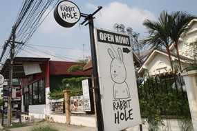 Rabbit Hole