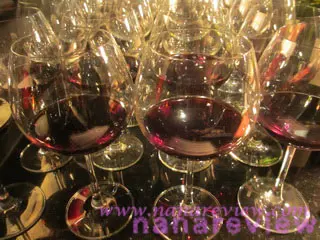 Merlot Reserva Terraced 2009