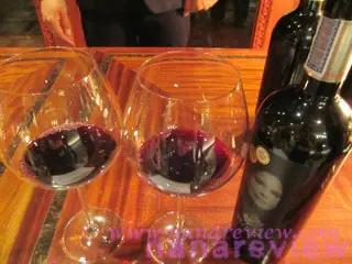 Dona Bernarda Cabernet Sauvignon 2007