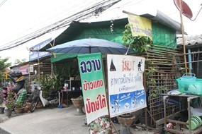 ฉวาง
