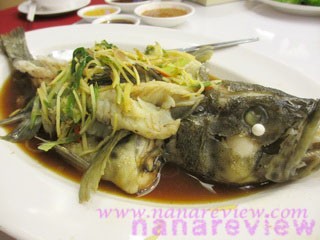 ปลาเก๋านึ่งซีอิ๊ว