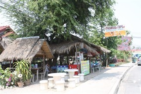 ต้นมะขาม 