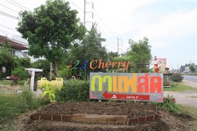 123 Cherry 