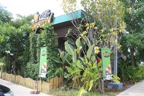 Cafe Amazon (คาเฟ่ อเมซอน)