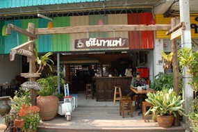ต้นกาแฟ