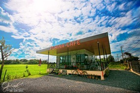 Plaina Cafe