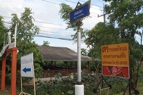 ตาราดหน้าทะเล
