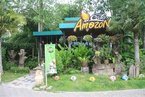 Cafe Amazon (คาเฟ่ อเมซอน)